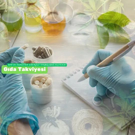Gıda Takviyesi
